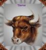 The Taurus Bull